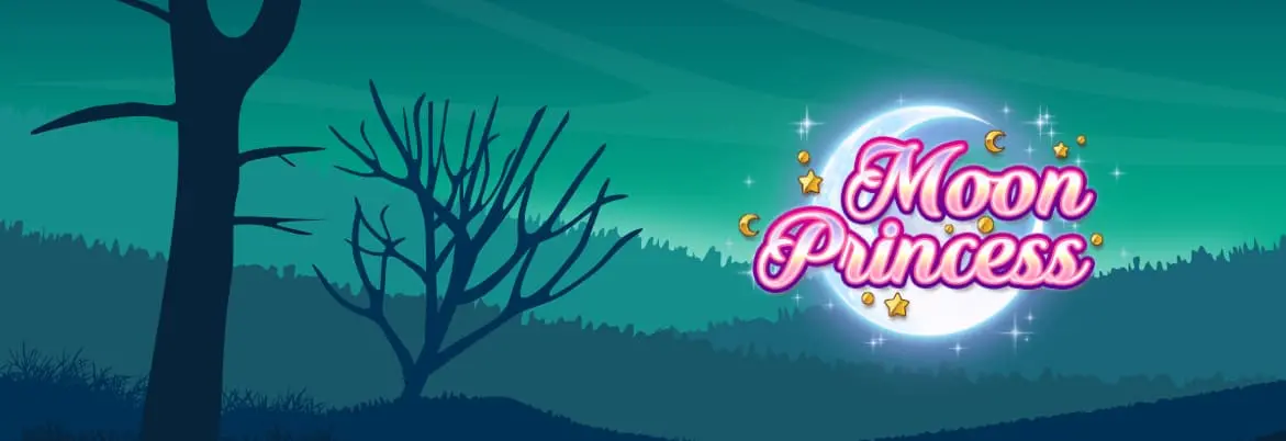 Moon Princess online slot-functies